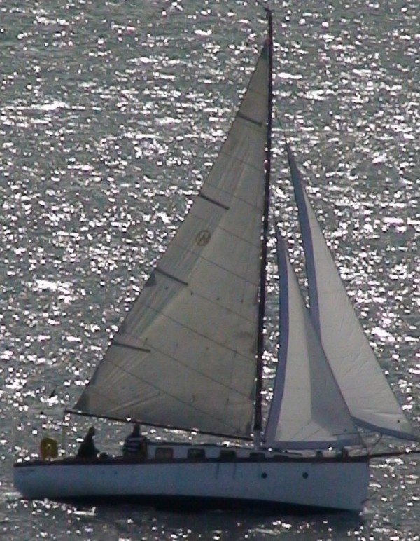 Ocean 30 Bermudan Cutter